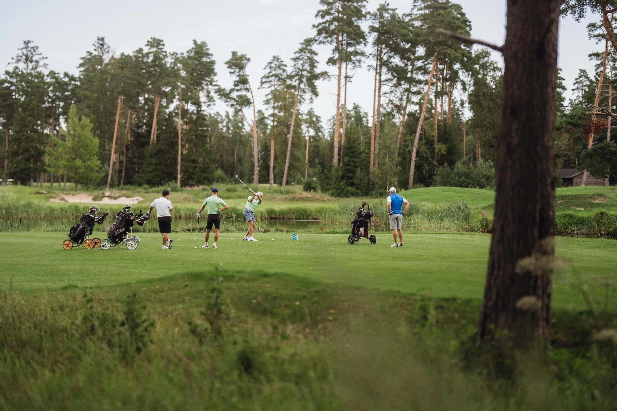 bmw eesti golf 8