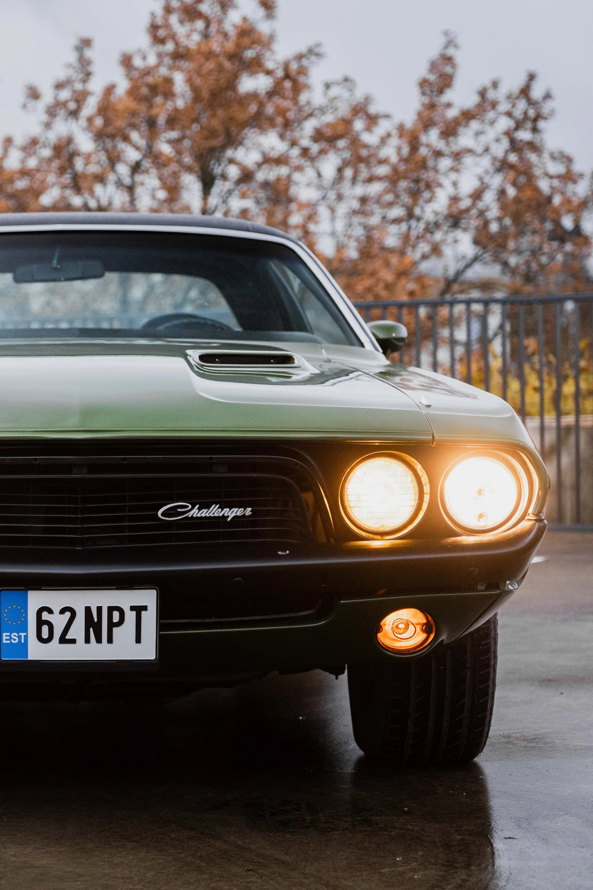 Dodge Challenger (62NPT)