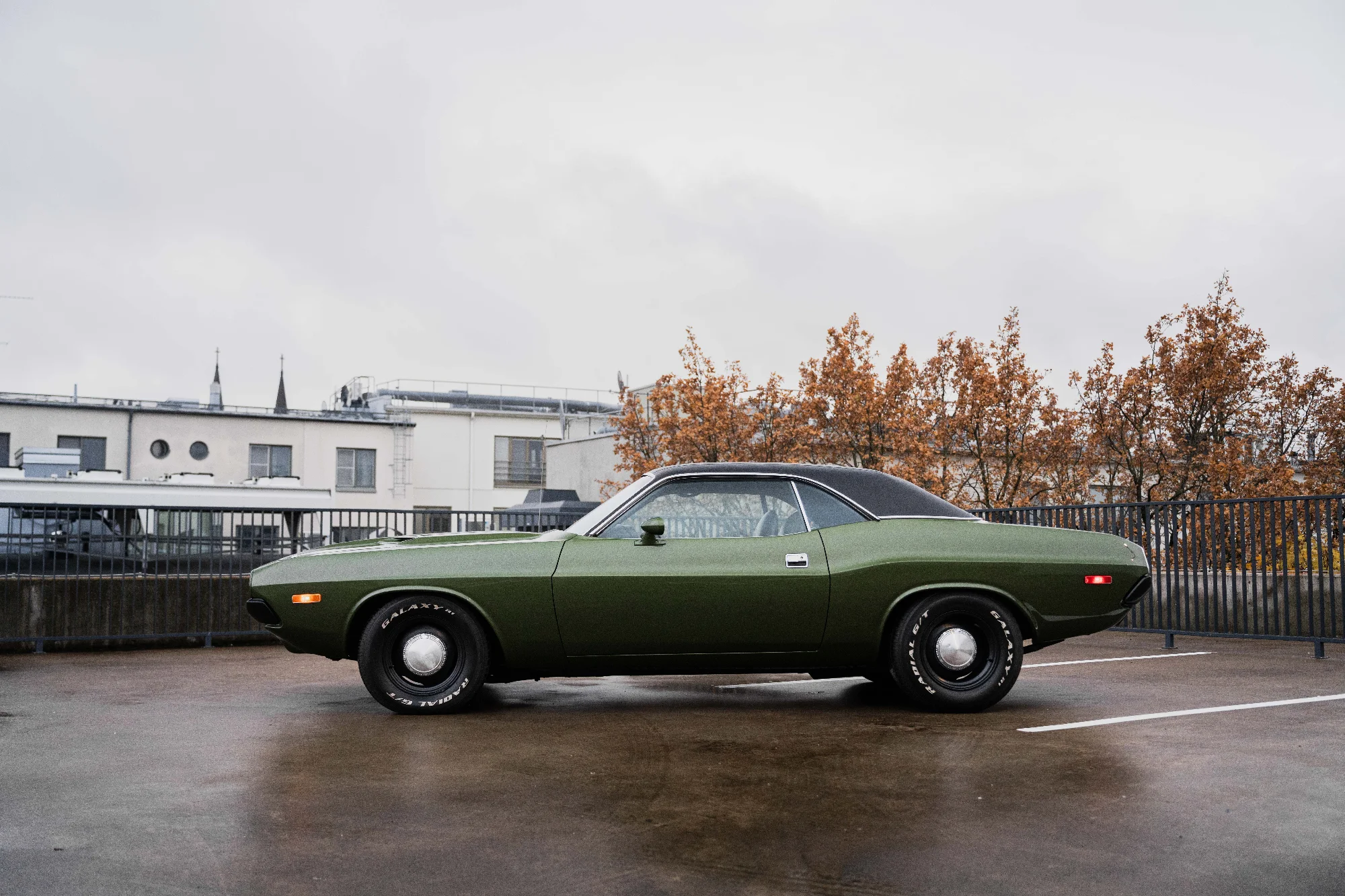 Dodge Challenger (62NPT) 3