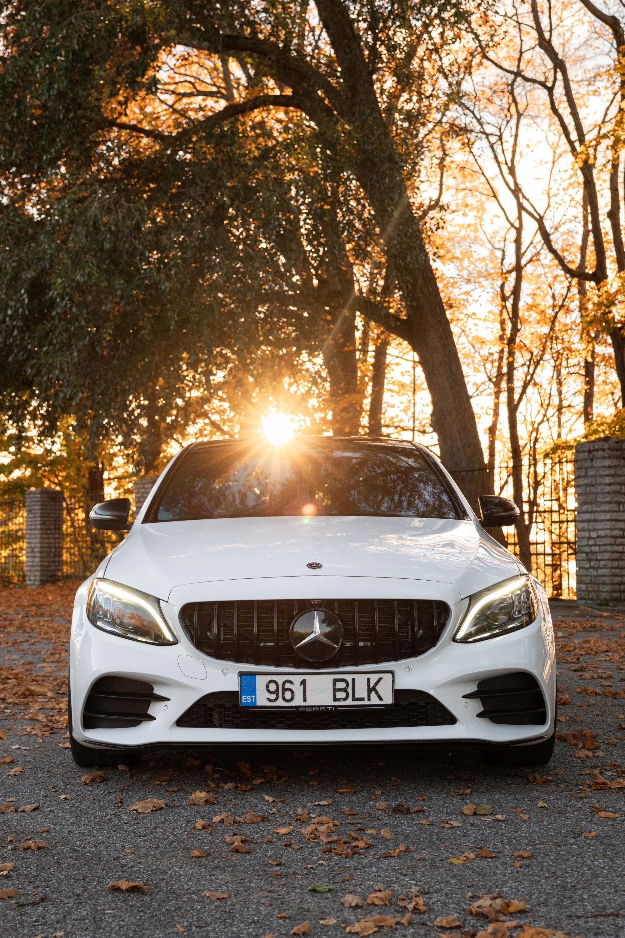 MB C300 (961BLK)
