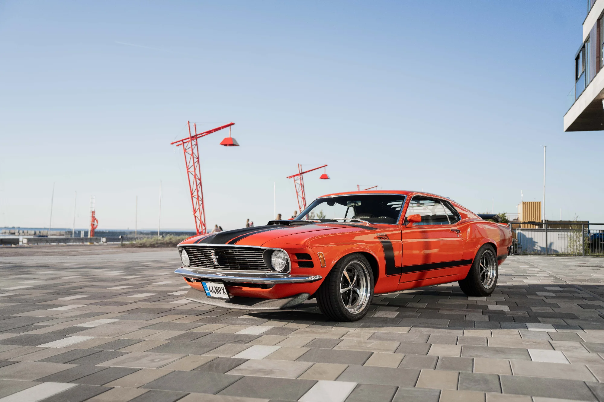 FORD MUSTANG BOSS 302 5
