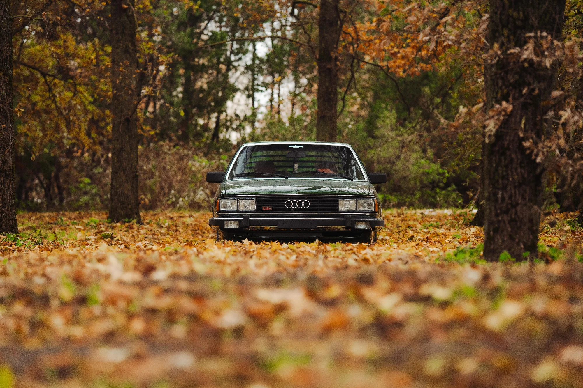 Audi 100 (510TAP) 12