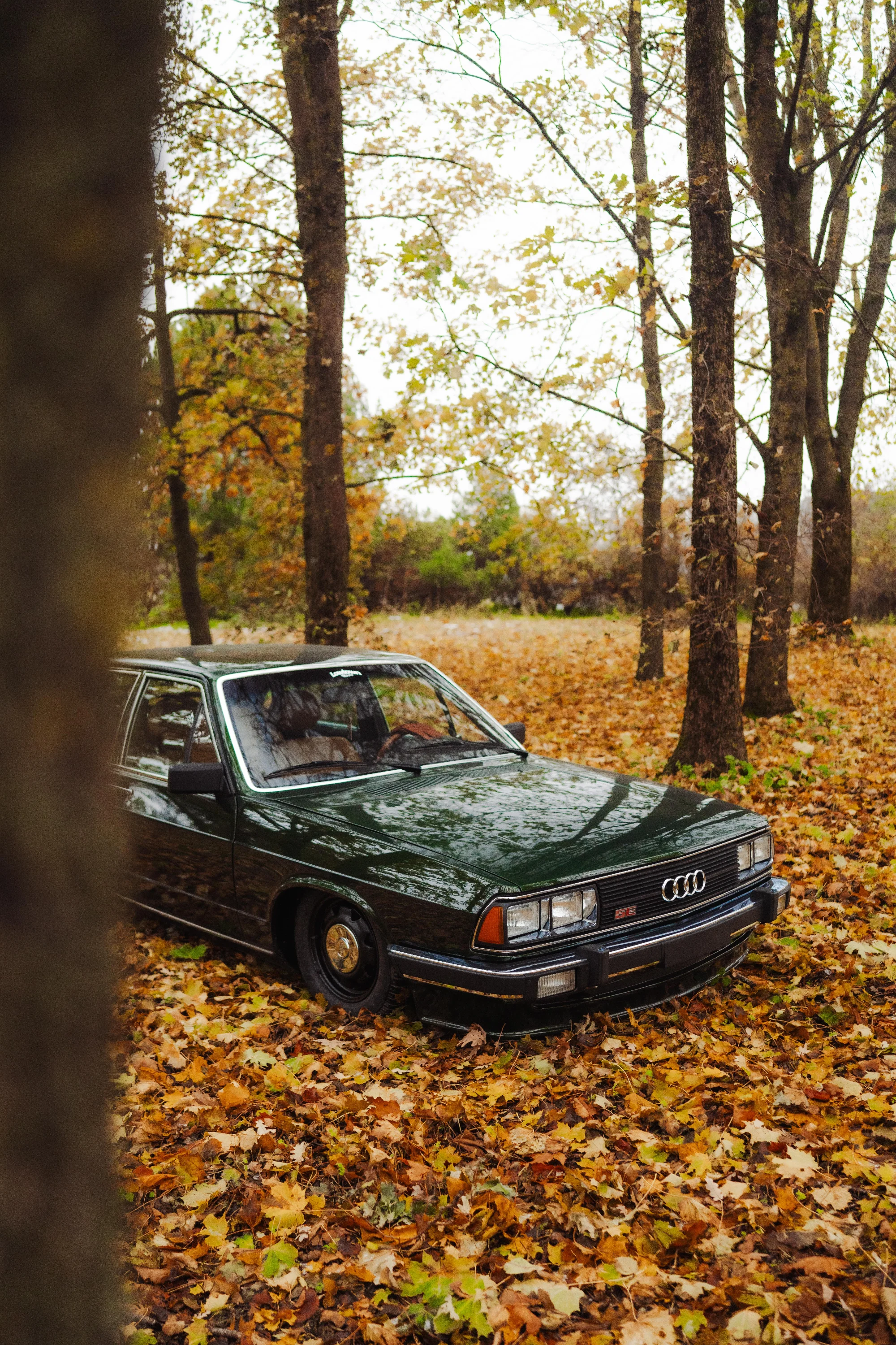 Audi 100 (510TAP) 2
