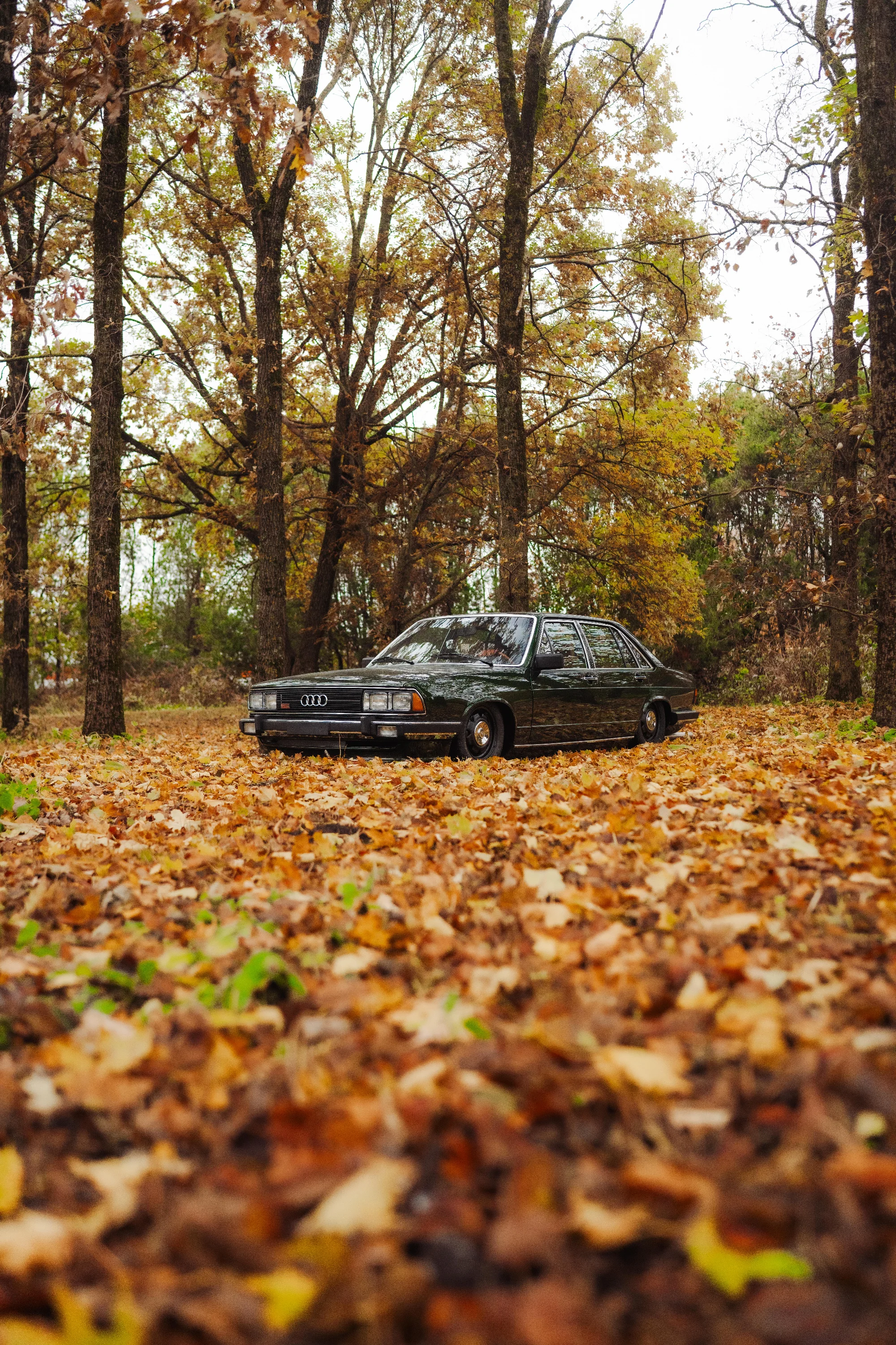 Audi 100 (510TAP) 3