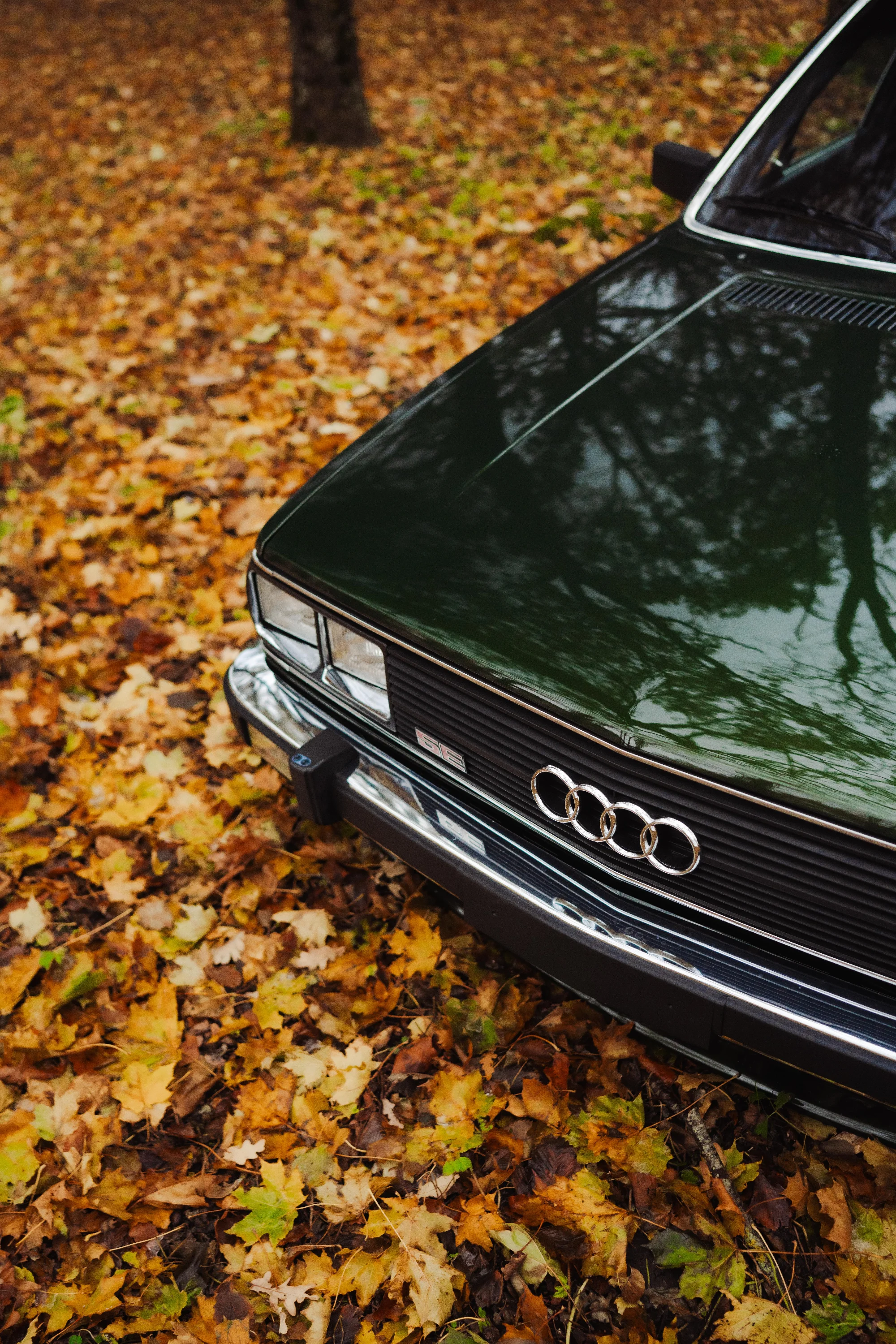 Audi 100 (510TAP) 5
