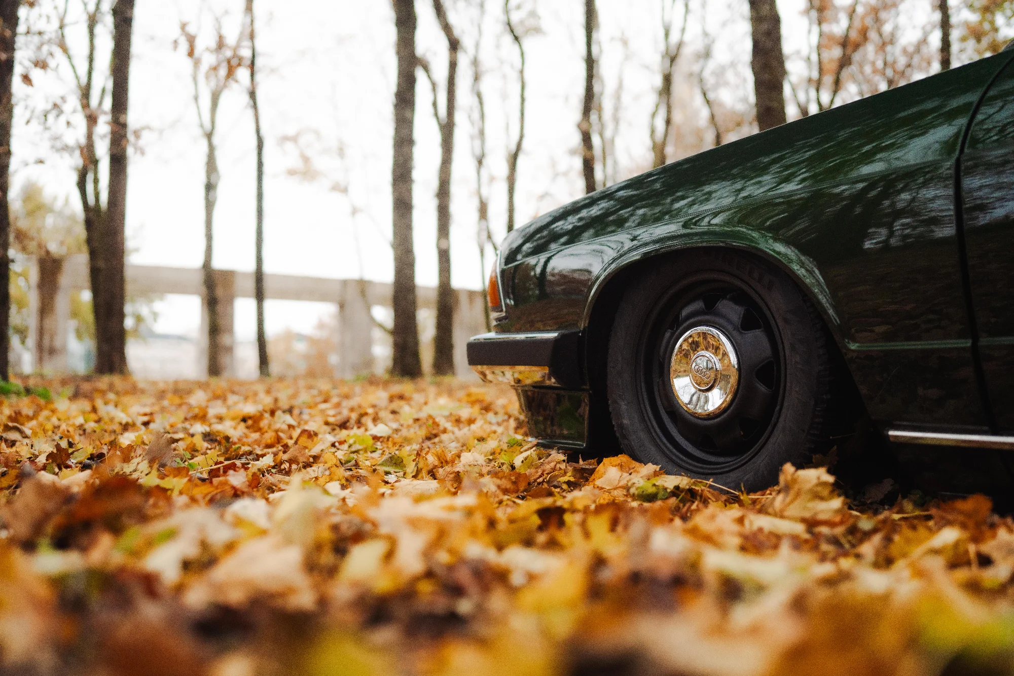 Audi 100 (510TAP) 6