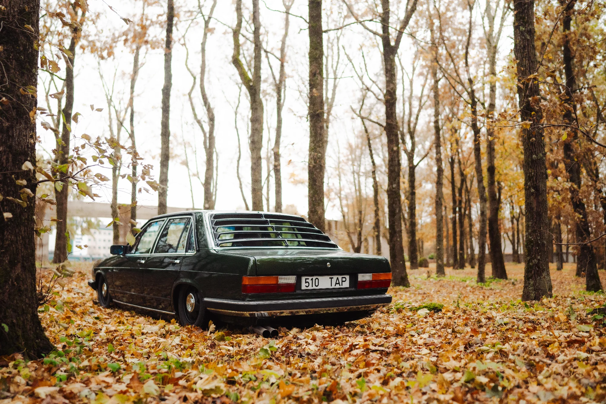 Audi 100 (510TAP) 8