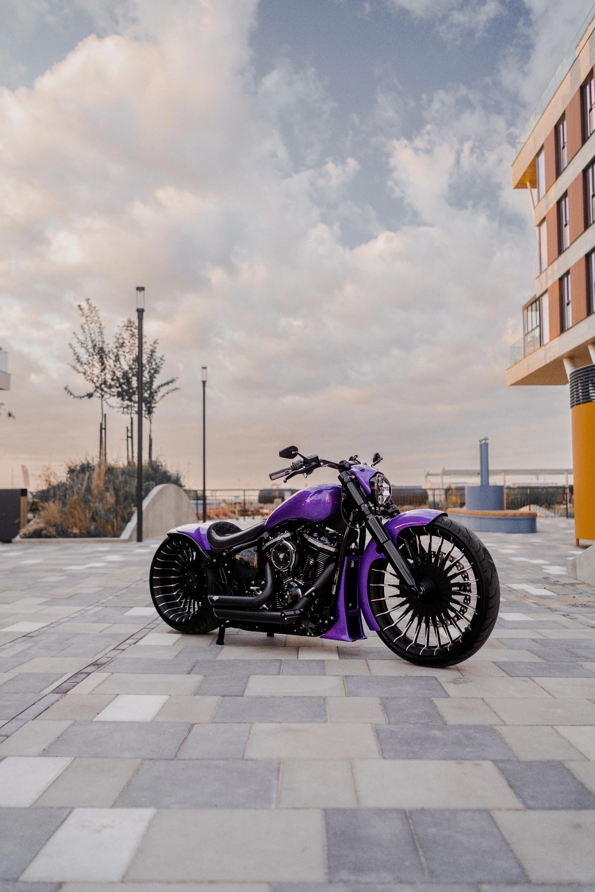Custom HarleyDavidson 2023 1