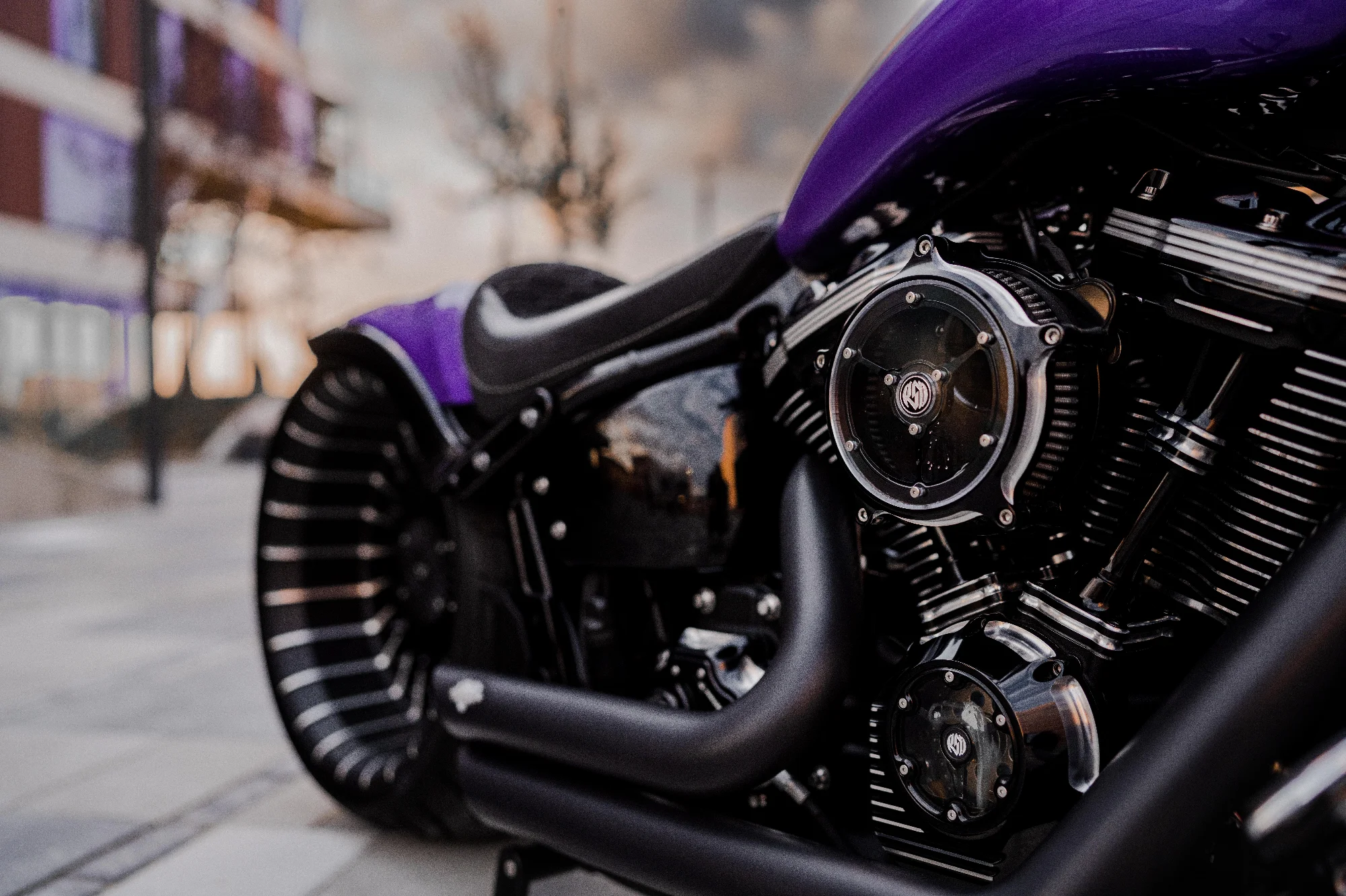 Custom HarleyDavidson 2023 2