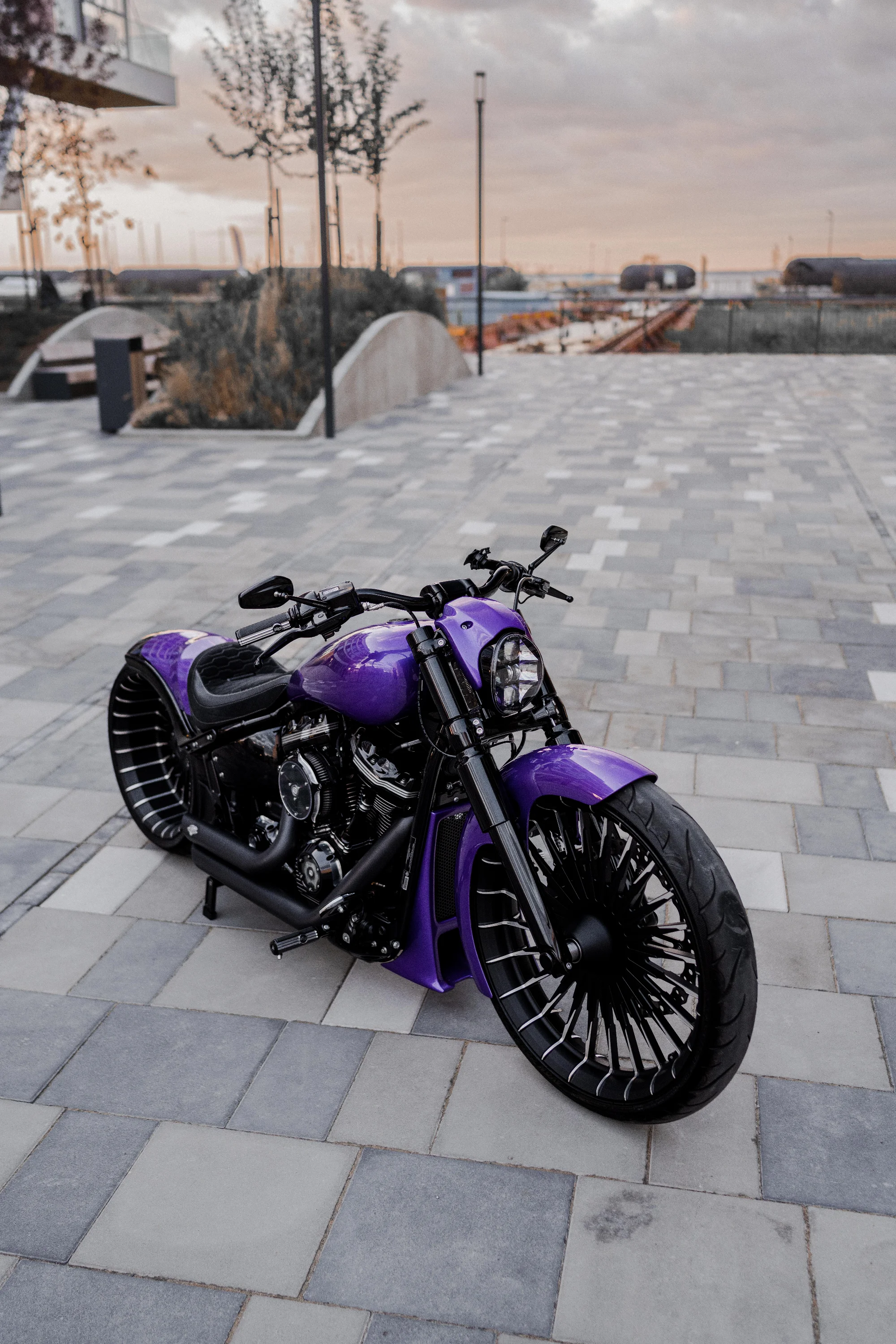 Custom HarleyDavidson 2023 5