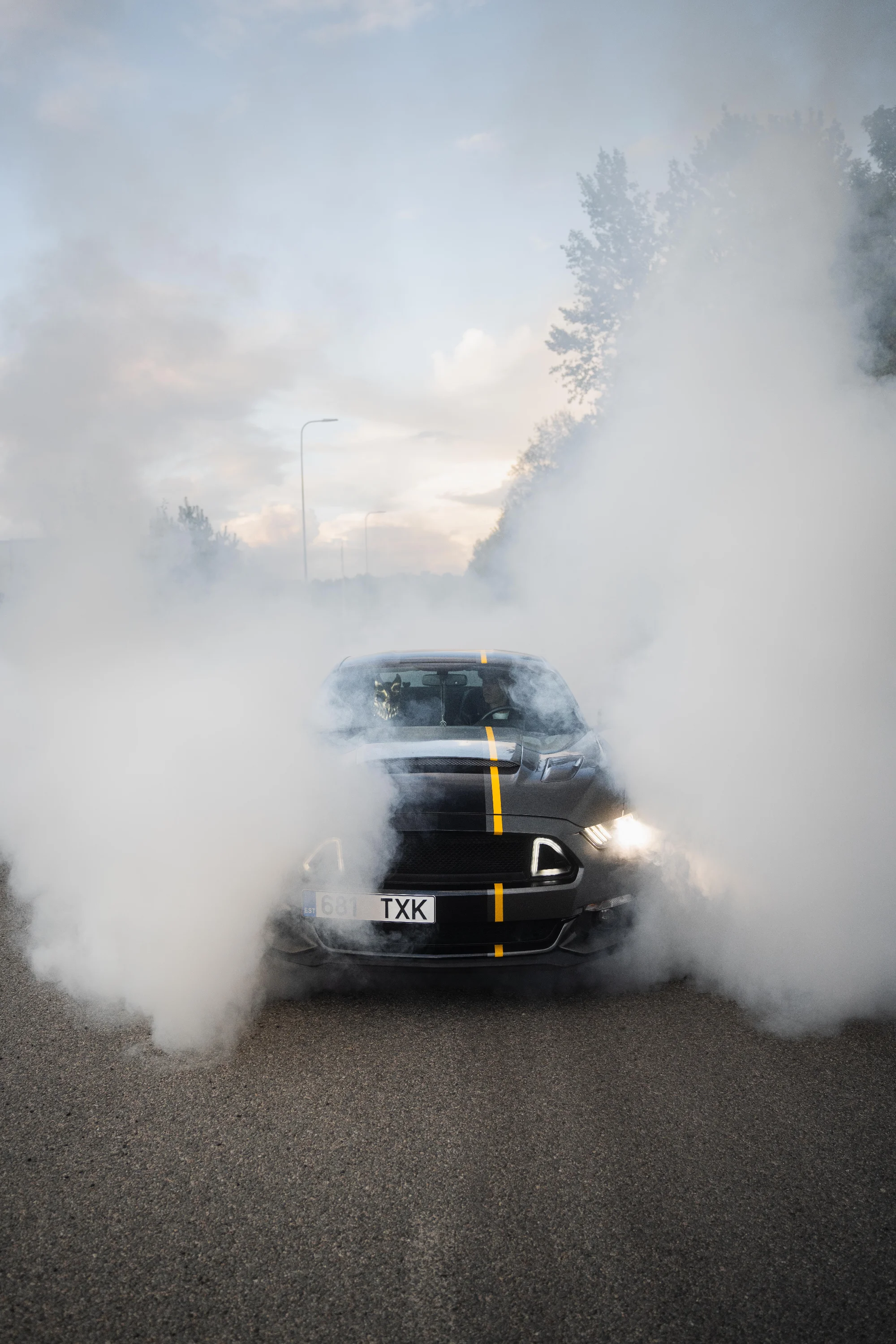 Ford Mustang(681TXK) 10