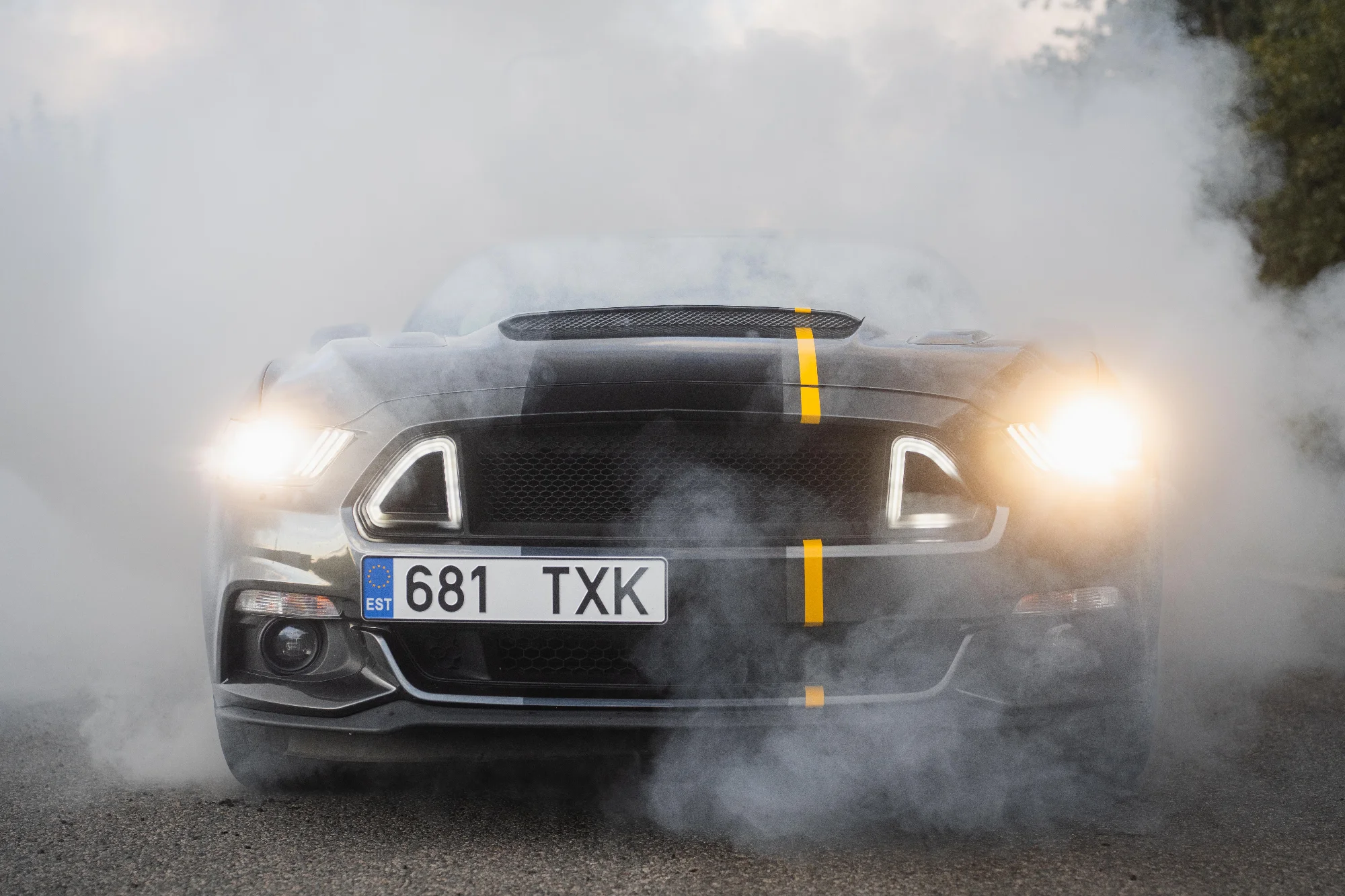 Ford Mustang(681TXK) 11