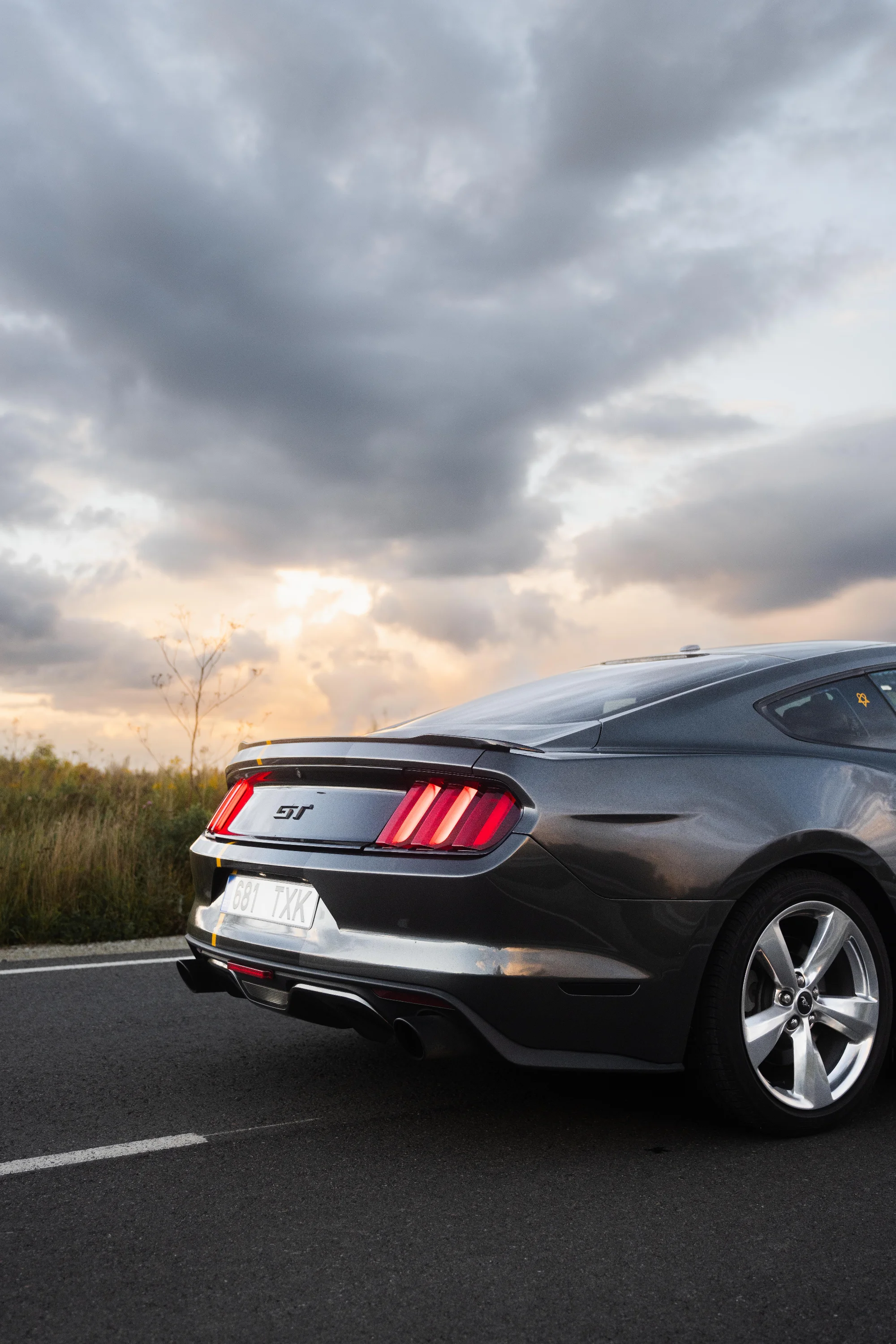 Ford Mustang(681TXK) 14