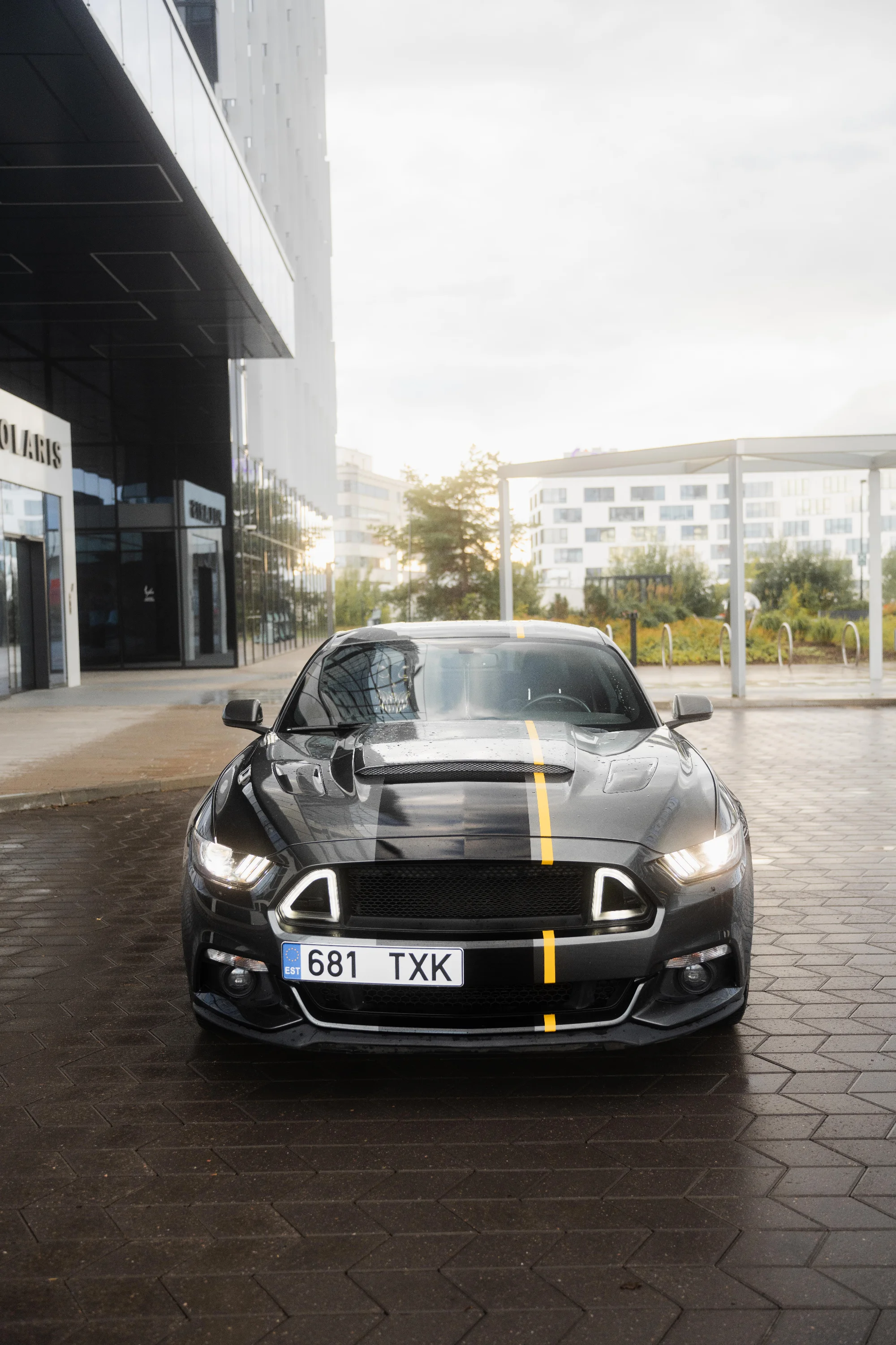 Ford Mustang(681TXK) 2