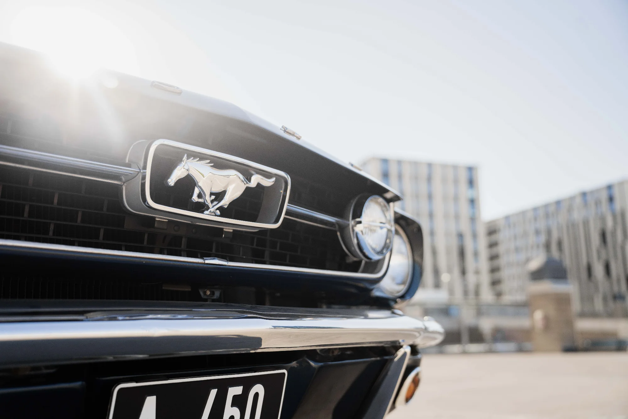 FORD MUSTANG FASTBACK 1966 5