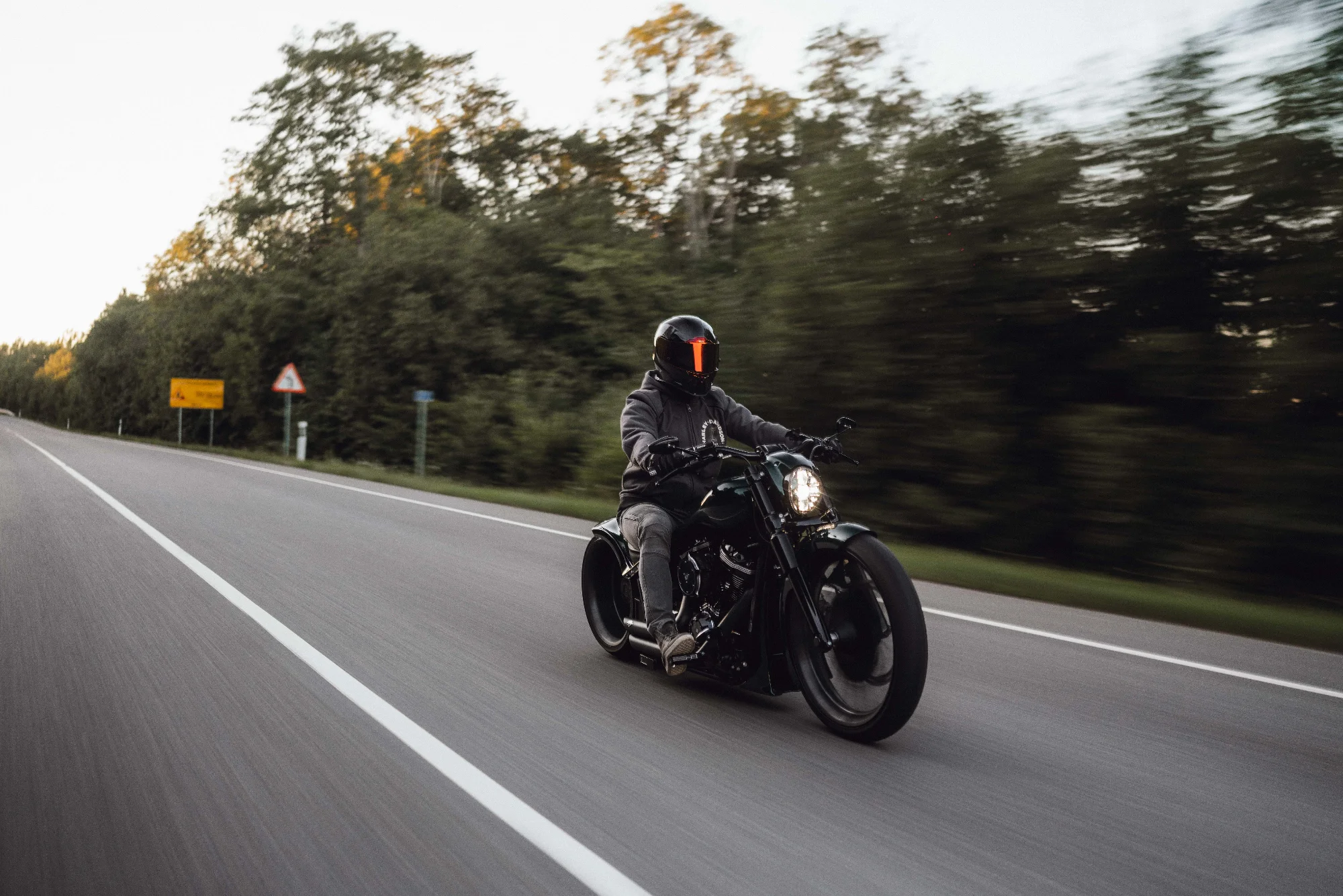 Custom HarleyDavidson 2022 4