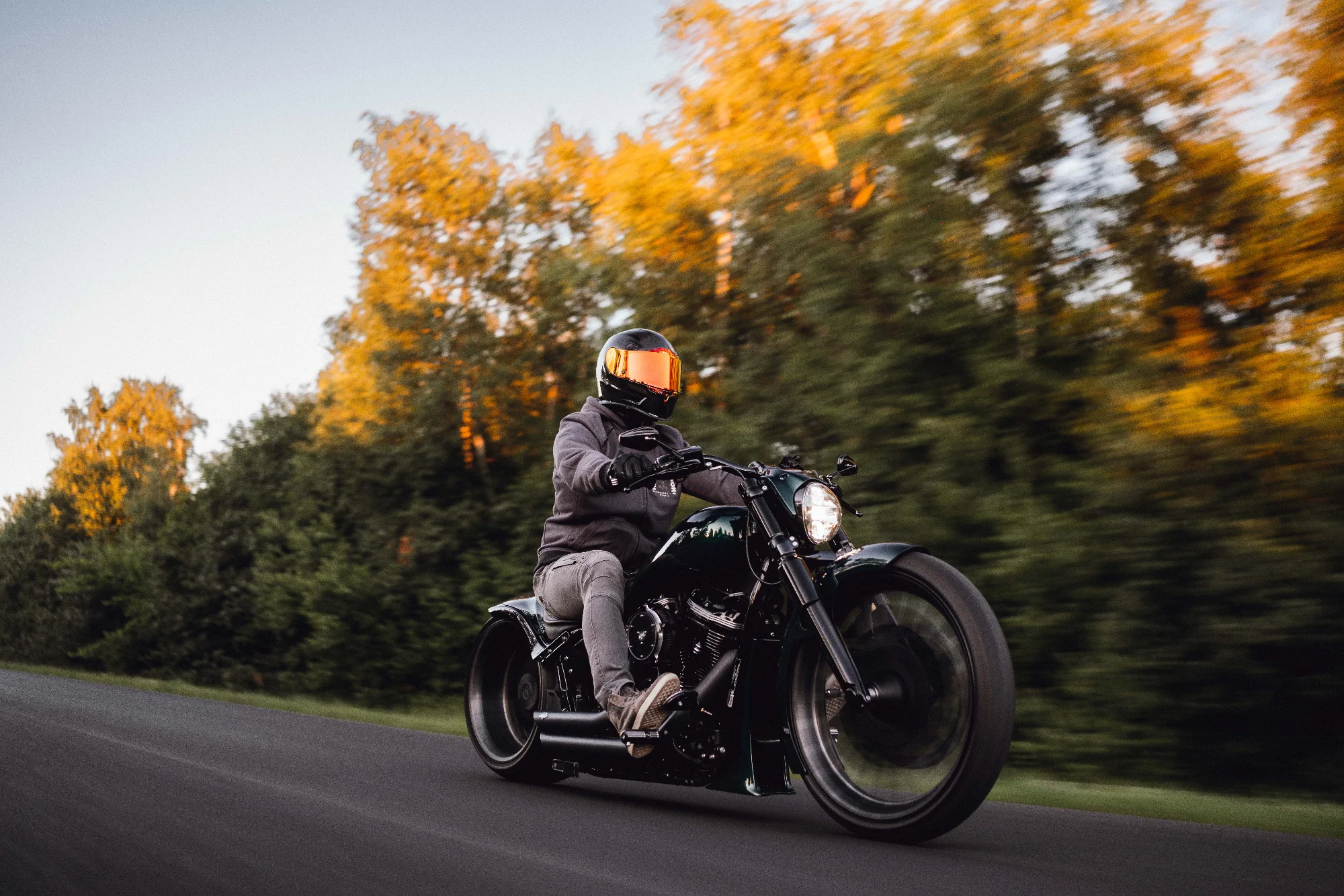 Custom HarleyDavidson 2022 6