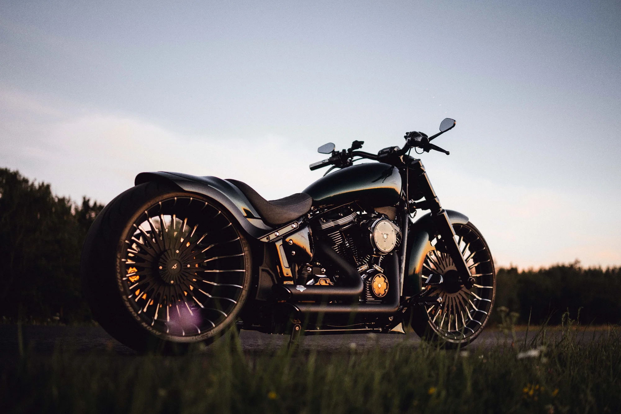 Custom HarleyDavidson 2022 7