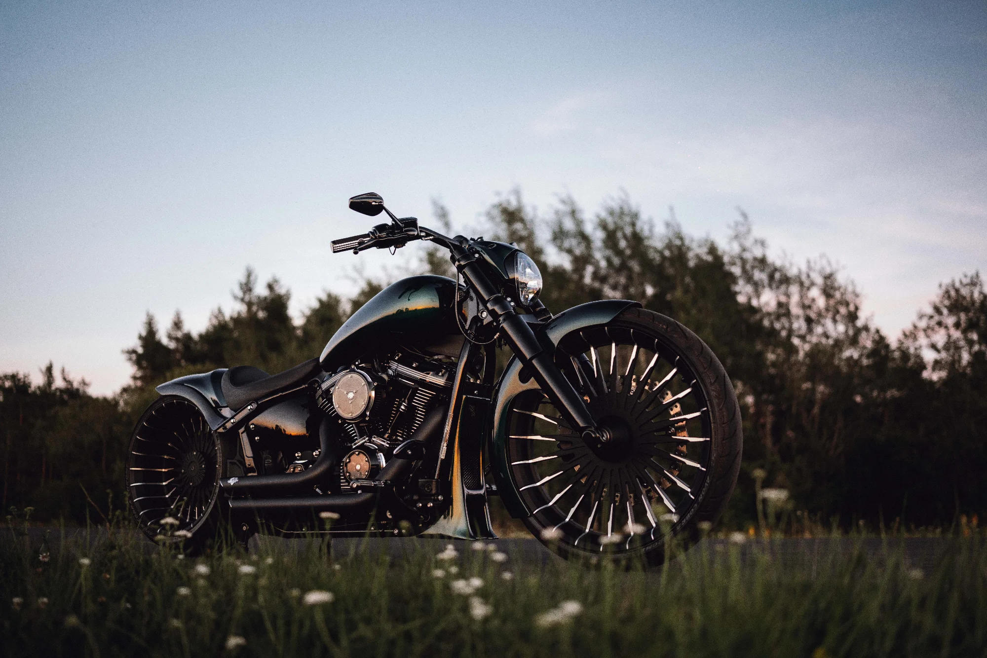 Custom HarleyDavidson 2022 8