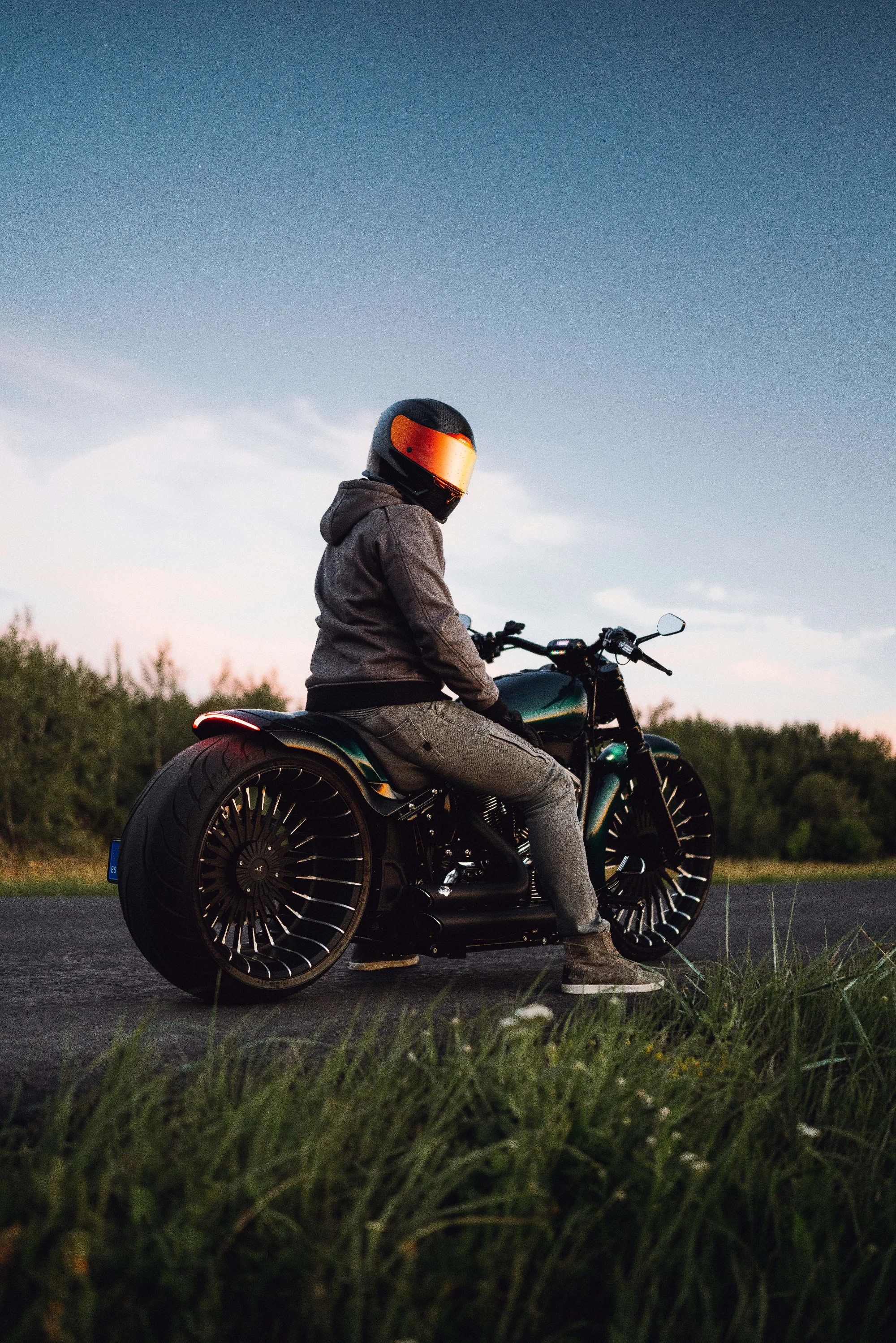 Custom HarleyDavidson 2022 9