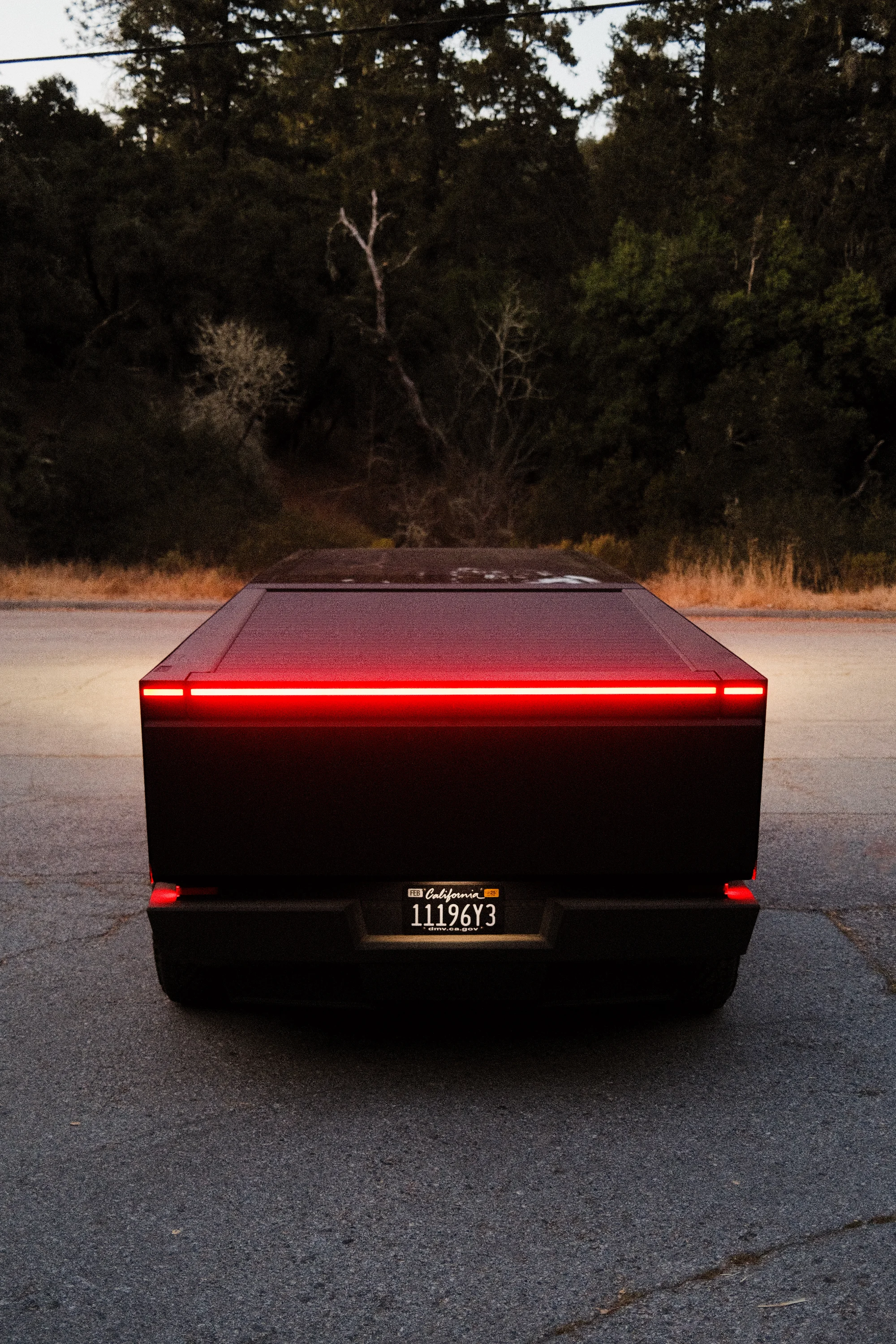 CyberTruck (USA) 2