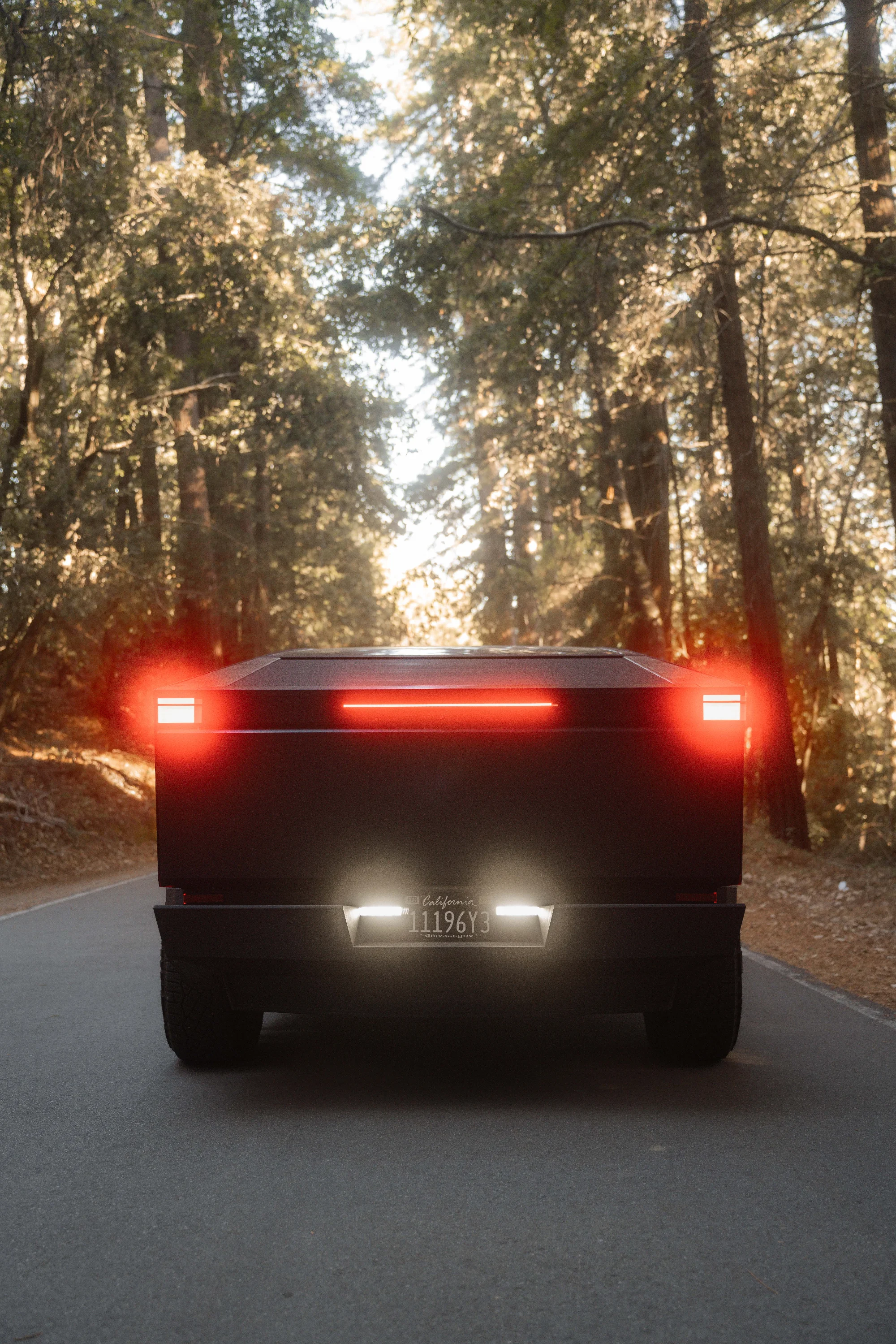 CyberTruck (USA) 7