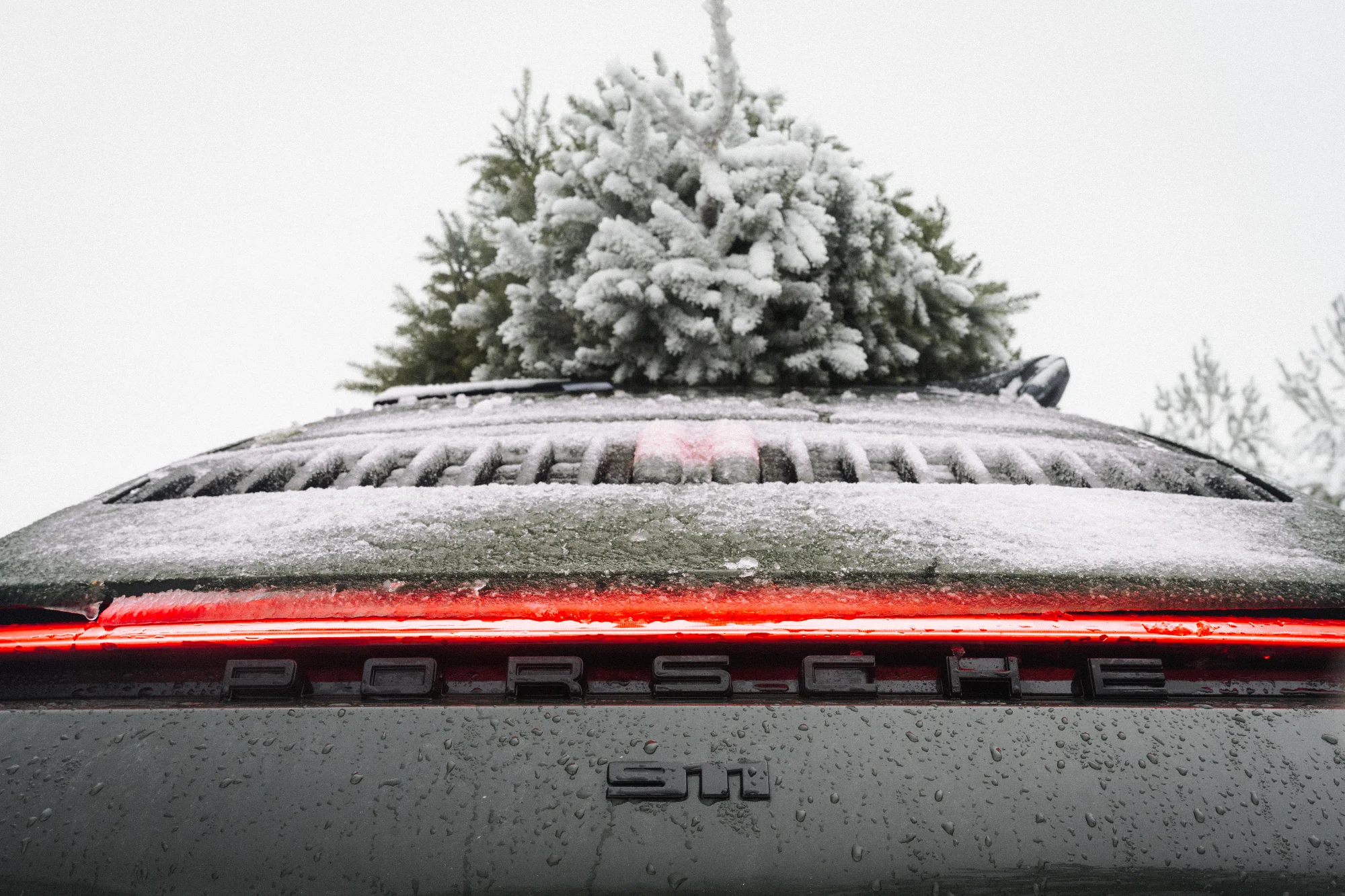 Porsche NewYear (Porche Eesti) 13