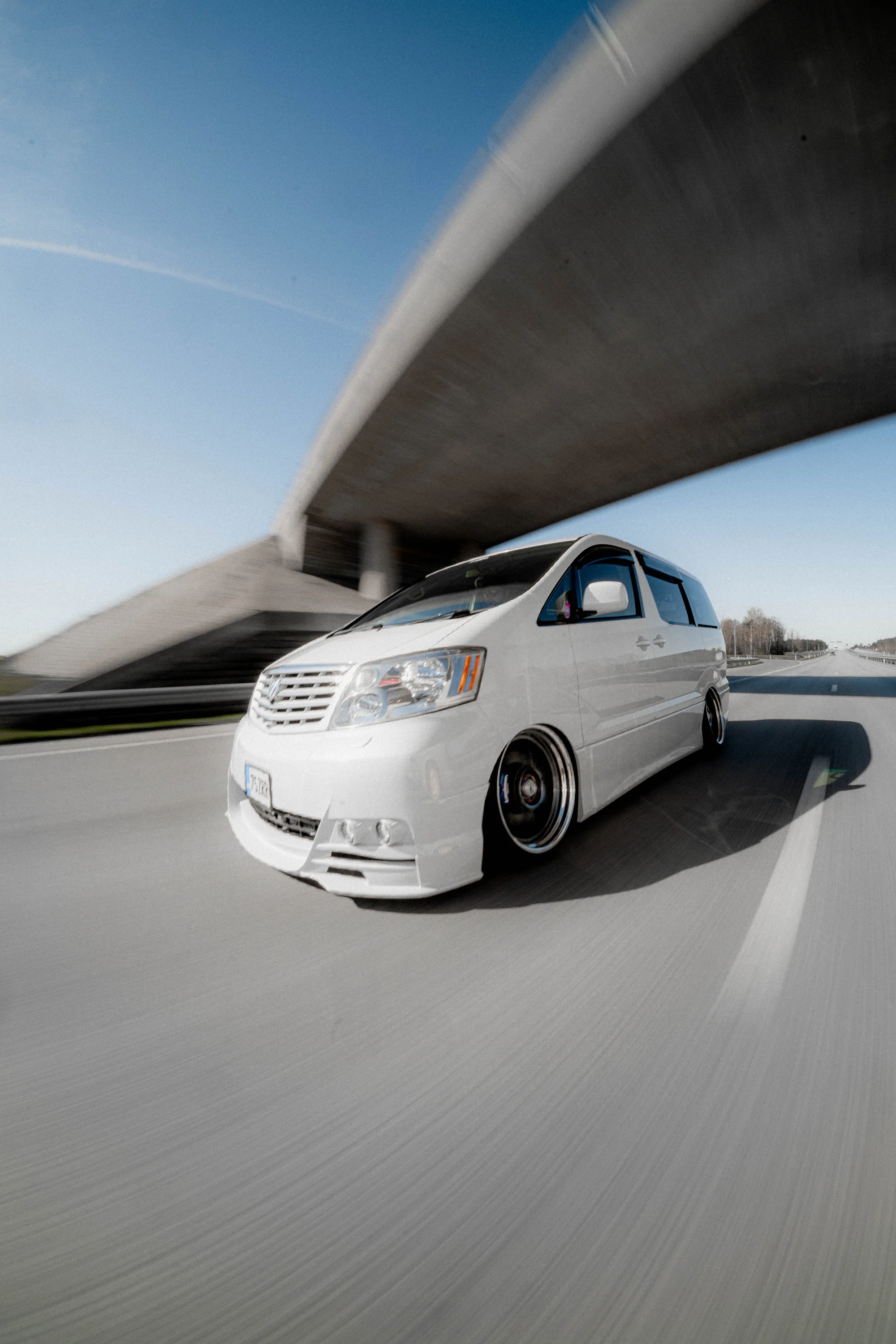Toyota Alfard (LTWS stanced)