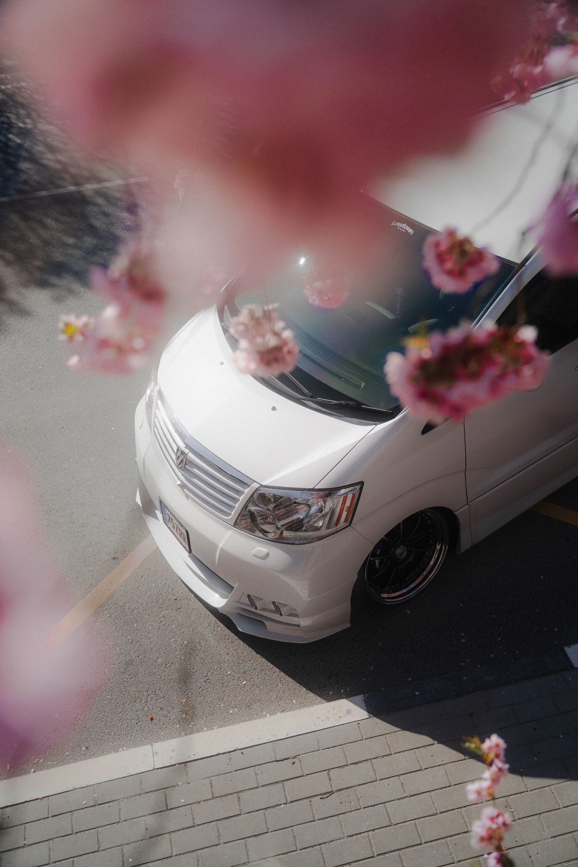Toyota Alfard (LTWS stanced) 13