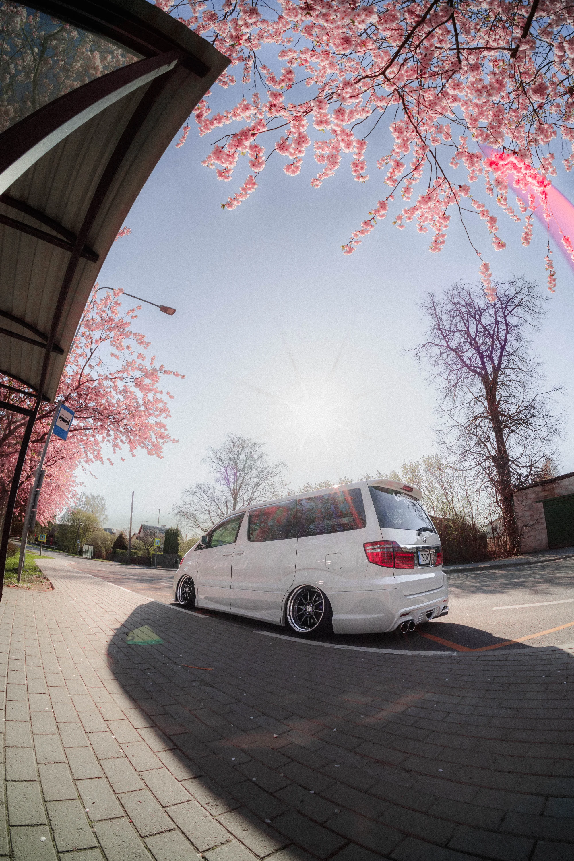 Toyota Alfard (LTWS stanced) 2