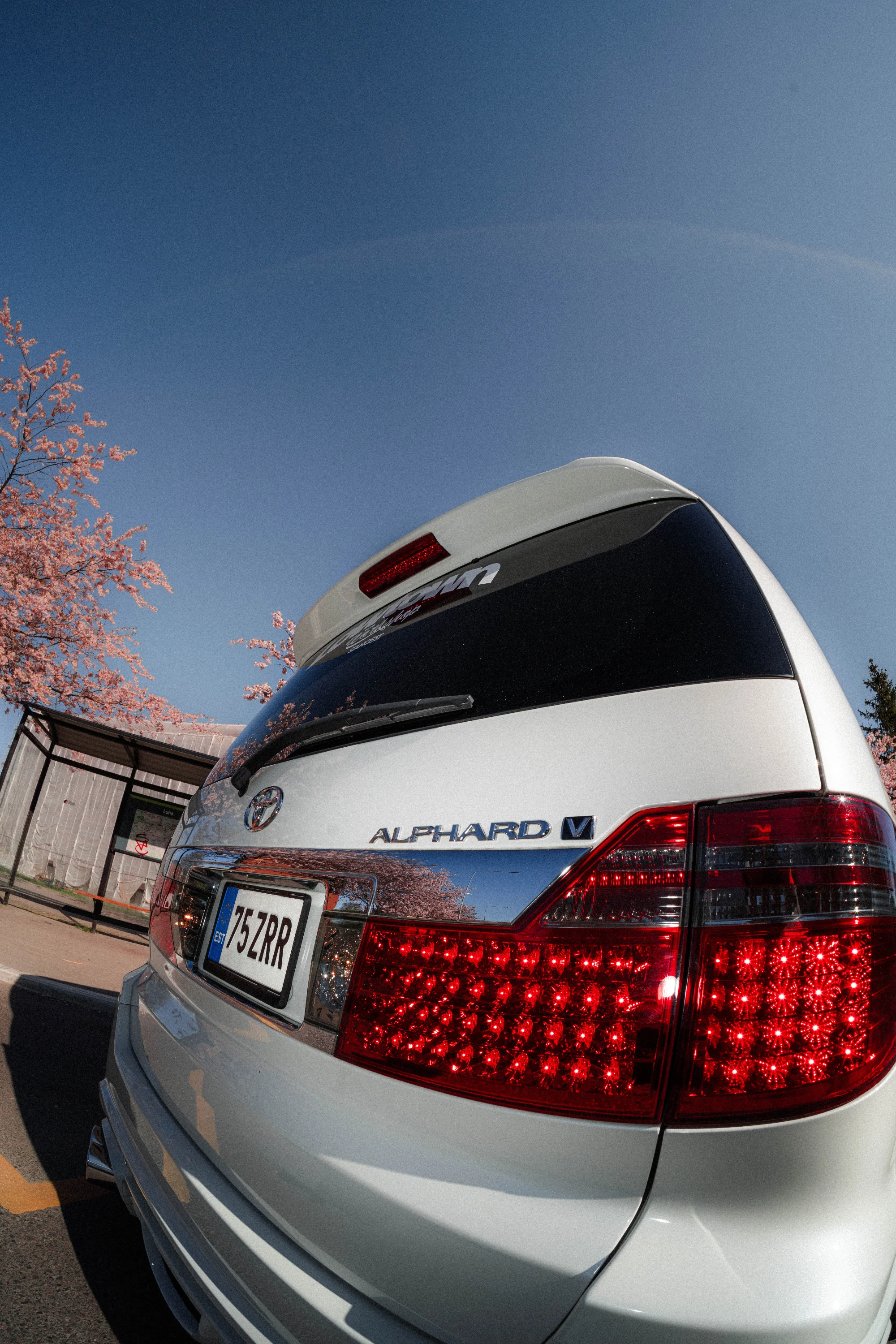 Toyota Alfard (LTWS stanced) 4