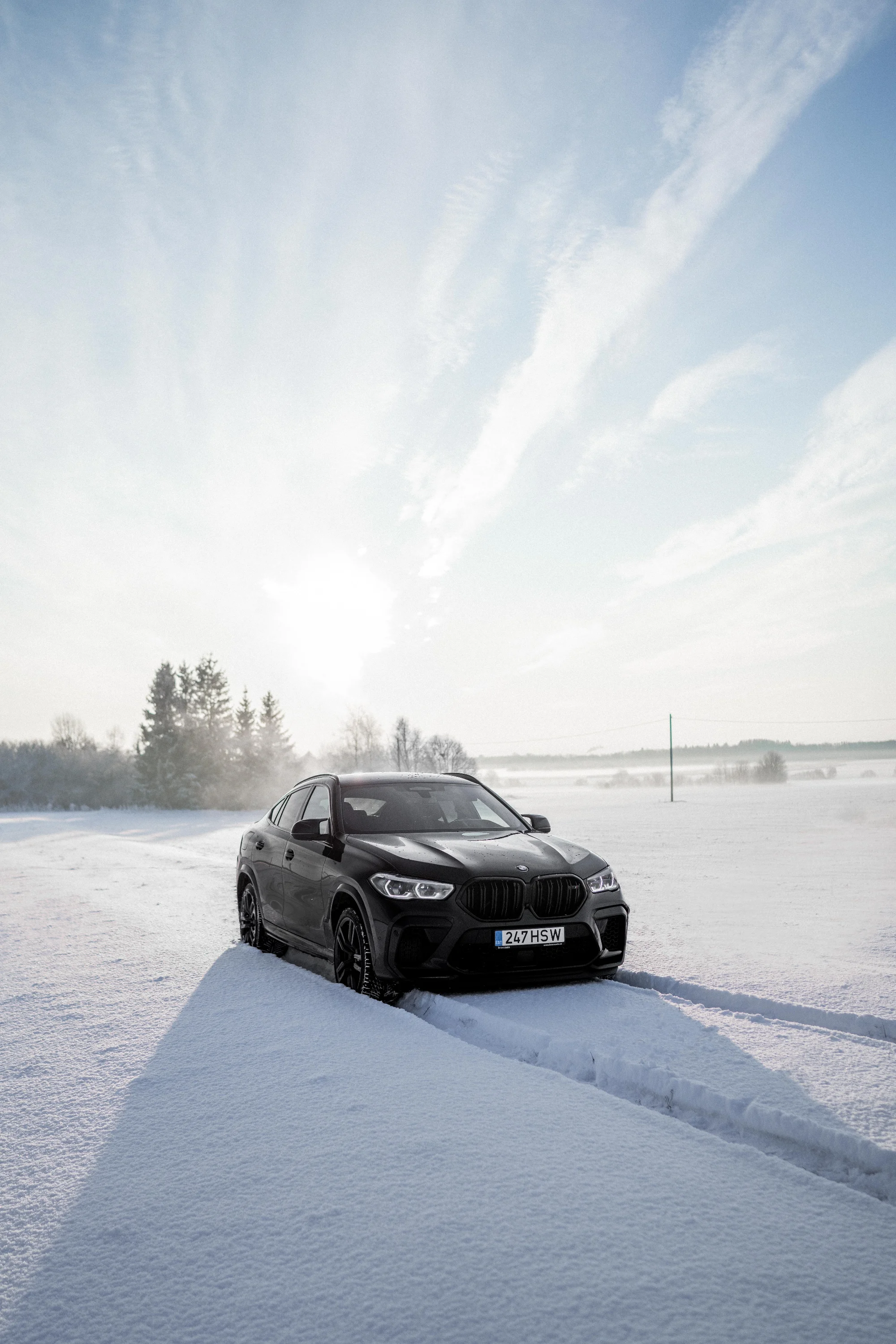BMW X6M (BravoAuto) 7