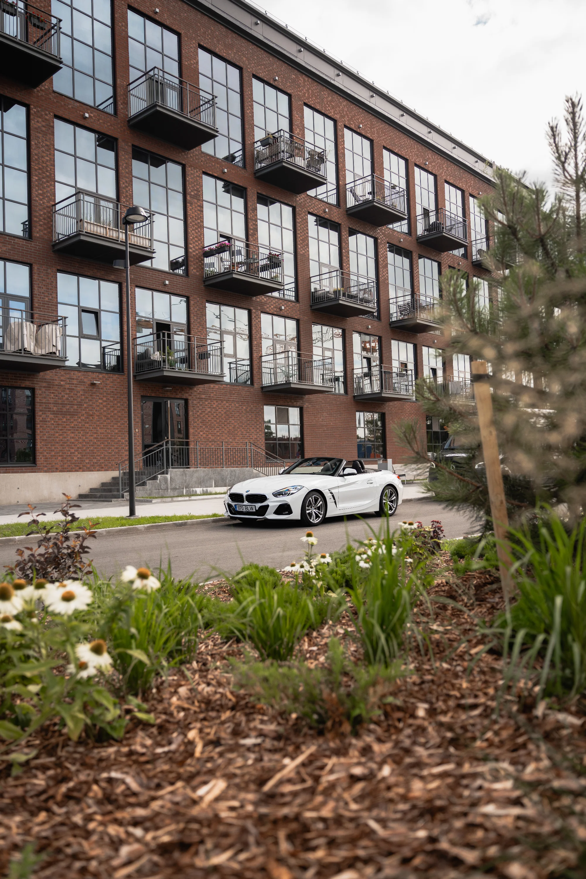 BoltDrive cars 2 14